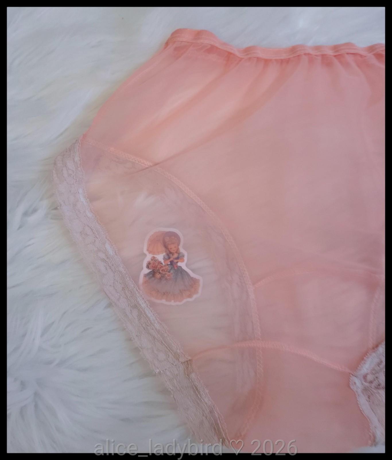 Vintage SHEER Chiffon PANTIES Babydoll BRIEF Soft Lace Nylon Gusset 50s/60s S/M