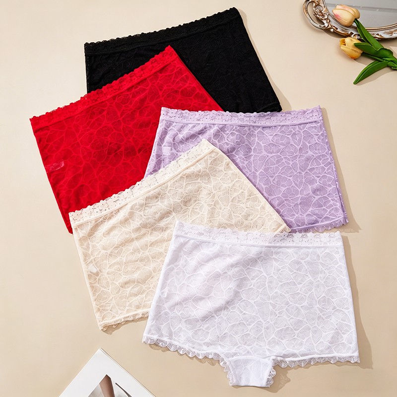 5 Pack Lot Sexy Womens See Through Lace Panties Boyshorts Underwear Lingeries