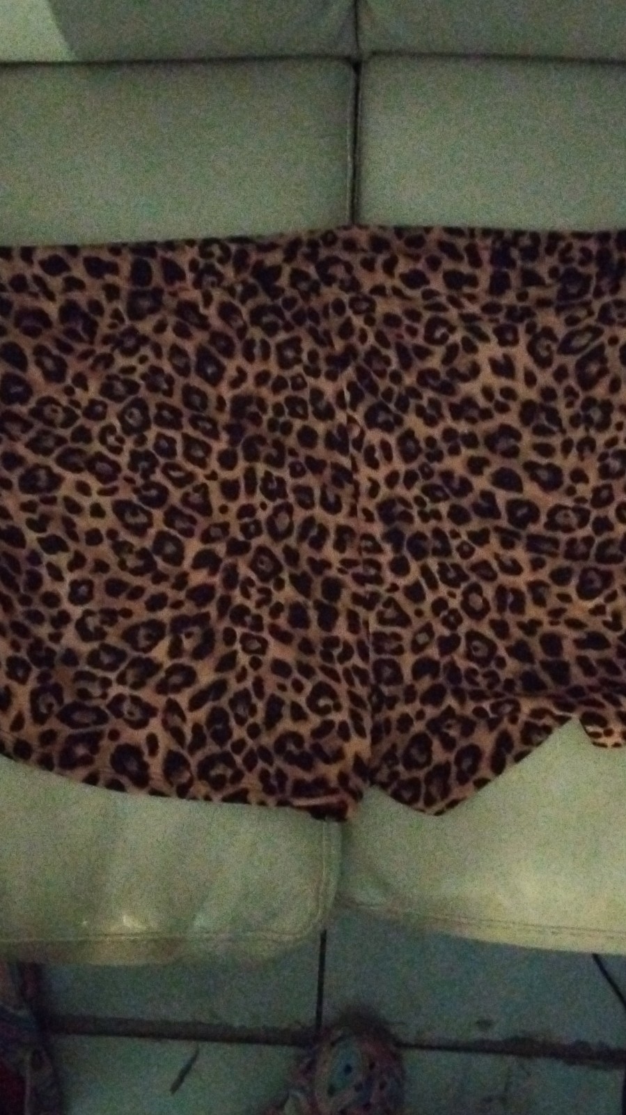 Wild Fable Leopard Print Boyshort Panties Plus Size 3X (24/26)