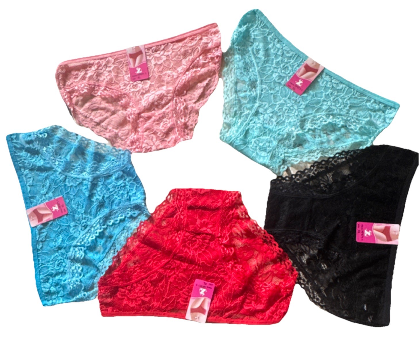 Women’s XL Regular Lace Brief Panties 5 Pack Multicolor Spandex