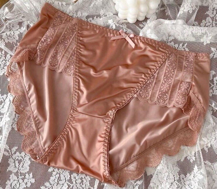 Soft Rose Pink Silky Satin Lace Trim Hip Bikini Brief Panties Sz L