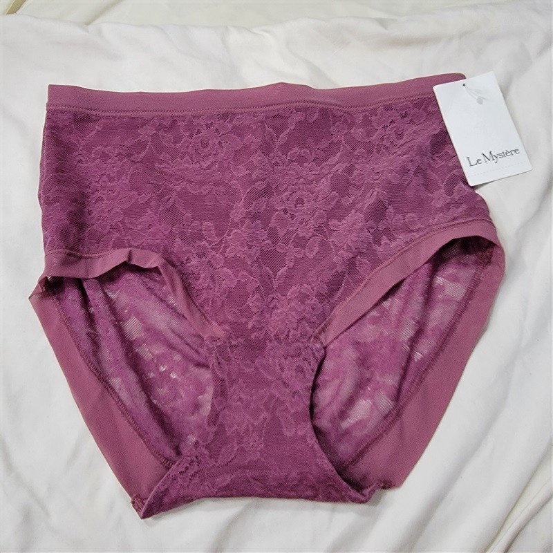 NWT Le Mystere SM Lace Perfection Brief Berry 117560