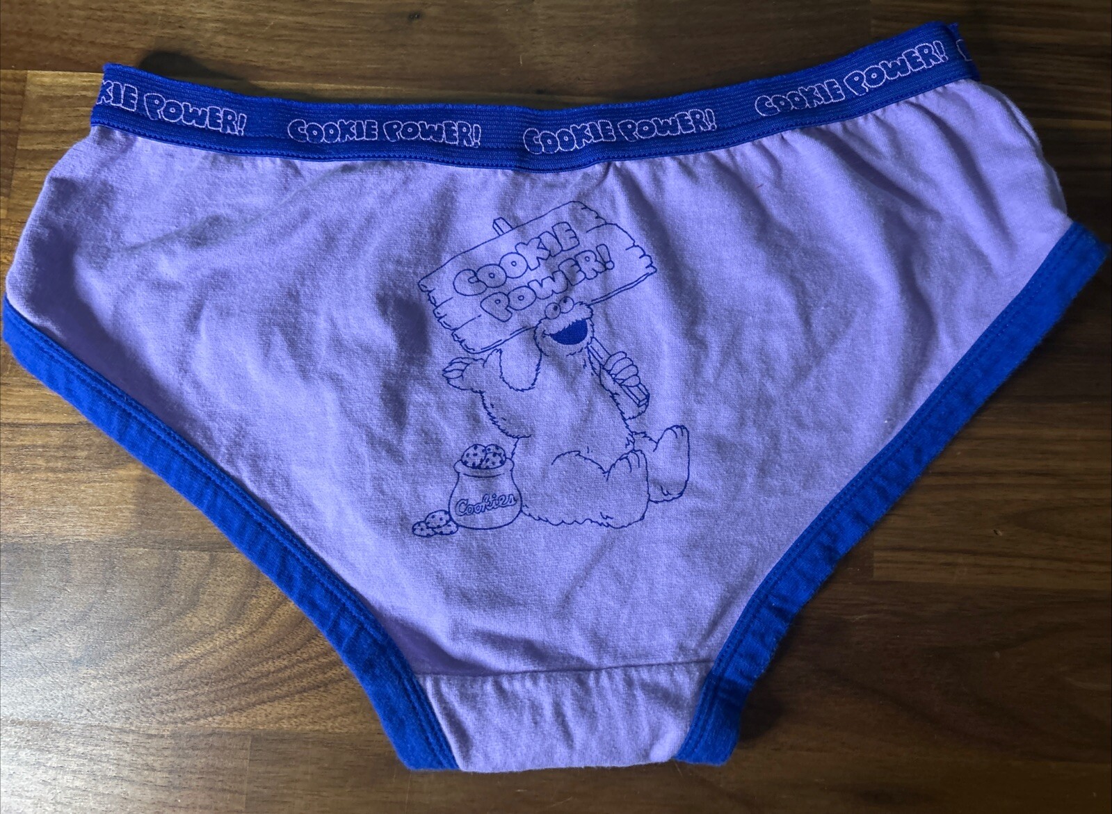 Vtg Sesame Street Cookie Monster Hipster Panties Cookie Power Sz 6 Kidcore Thick