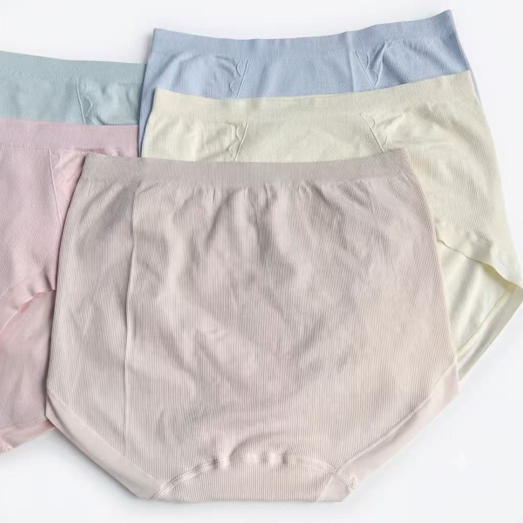 6ps Plus Size High-Waisted Nylon Minimalist Comfortable Women’s Pantie 155-240LB