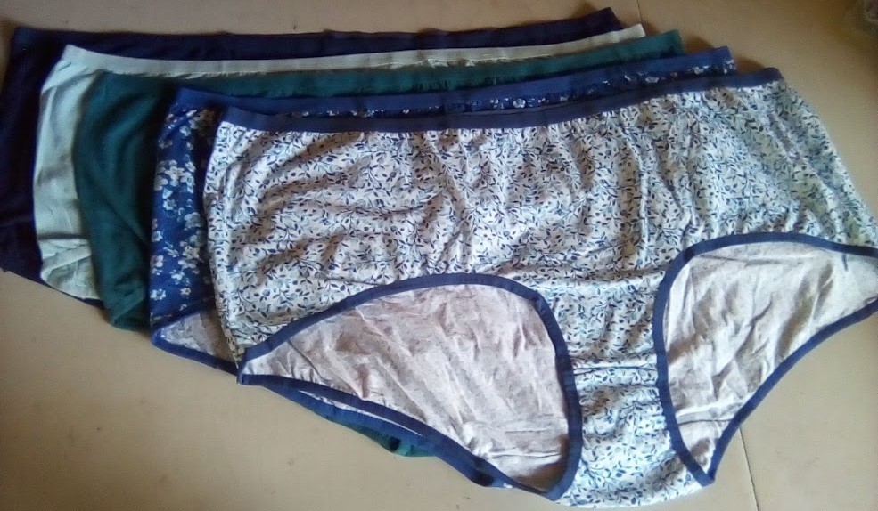 NWOT Assorted Comfort Choice 5 Pair Pack Brief Panties Size 16