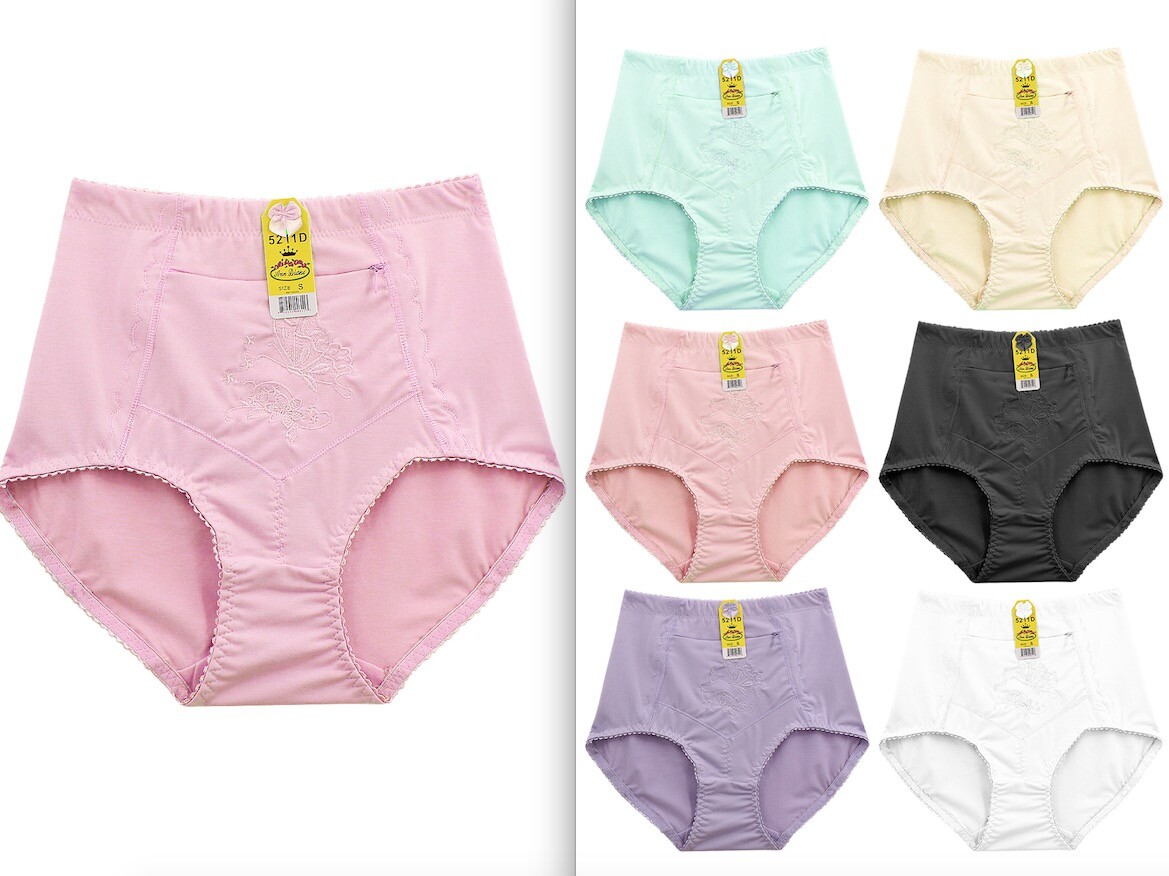 6 HIGH WAIST BRIEFS GIRDLES PANTIES TUMMY CONTROL ZIPPER TRAVEL SAFE POCKET