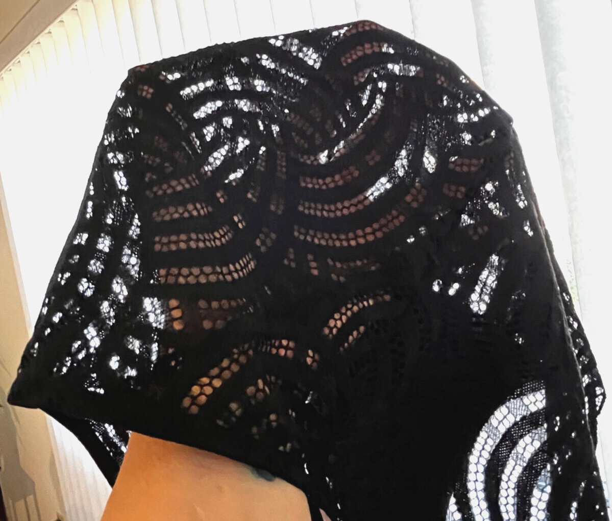 THIRD LOVE Size 1X Sheer Black Lace Back Silky Front Cheeky Hi Cut Panties NWT