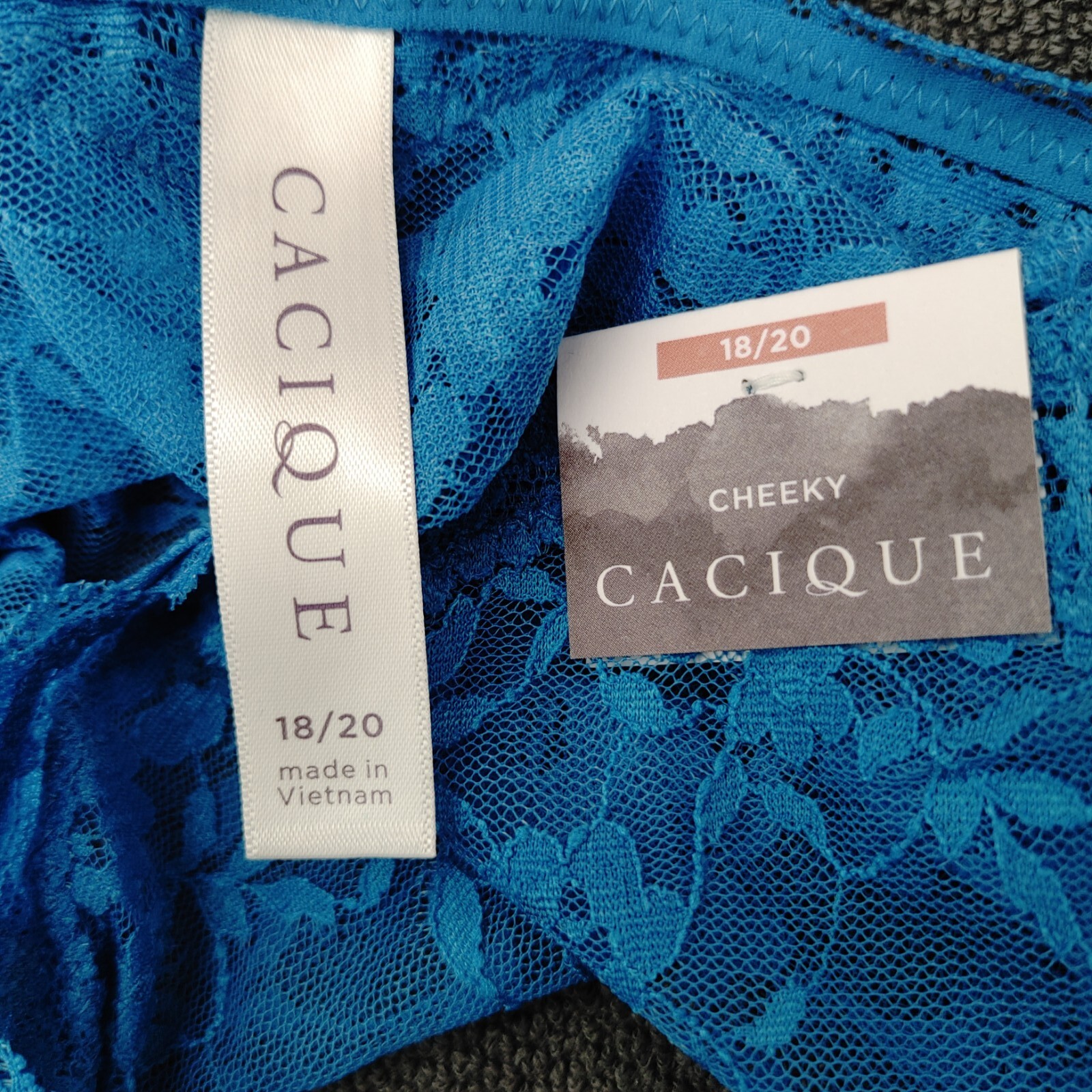 Lane Bryant Cacique Sexy Lingerie Cheeky Plus Panties 18/20 Blue Lace Sheer
