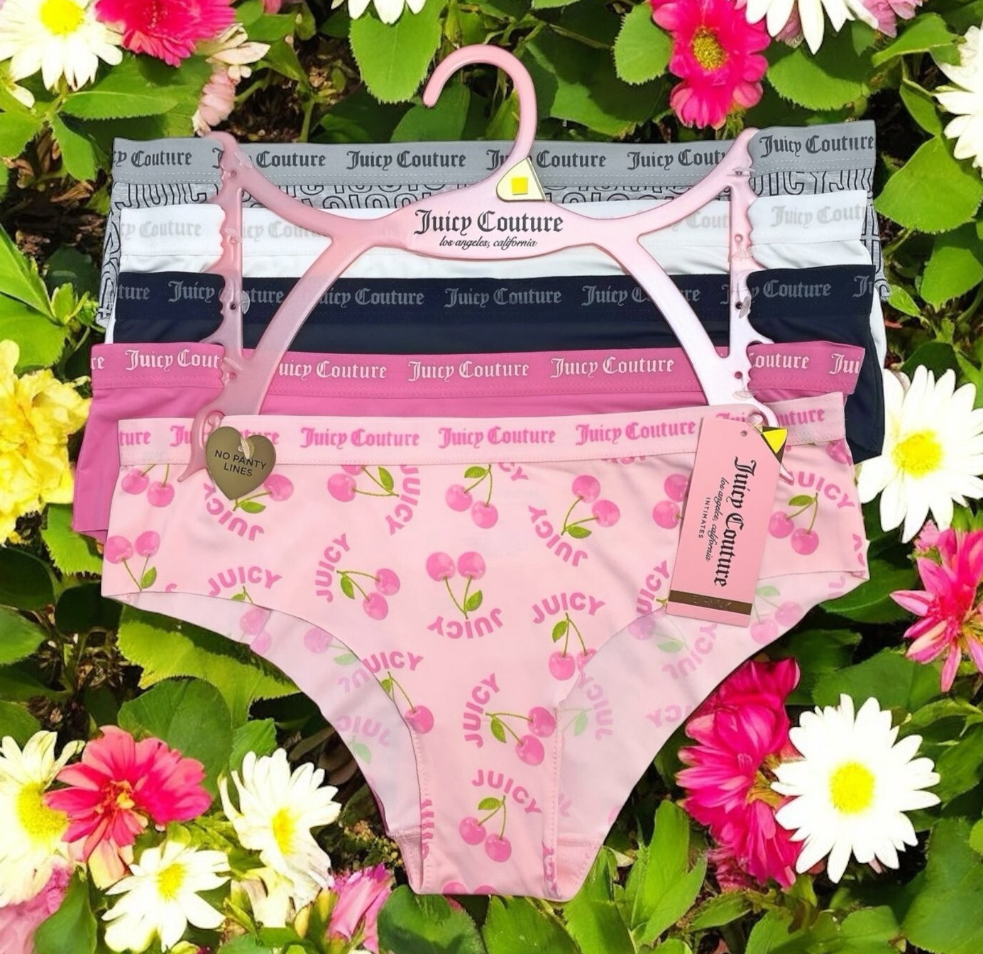 Juicy Couture Bikini Brief Pink, Black, White, Gray Logo 5 Panties Set Size L