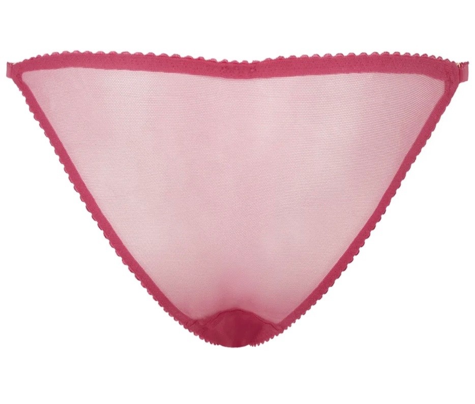 Agent Provocateur Fia Full Brief in Pink BNWT AP 3 UK 10