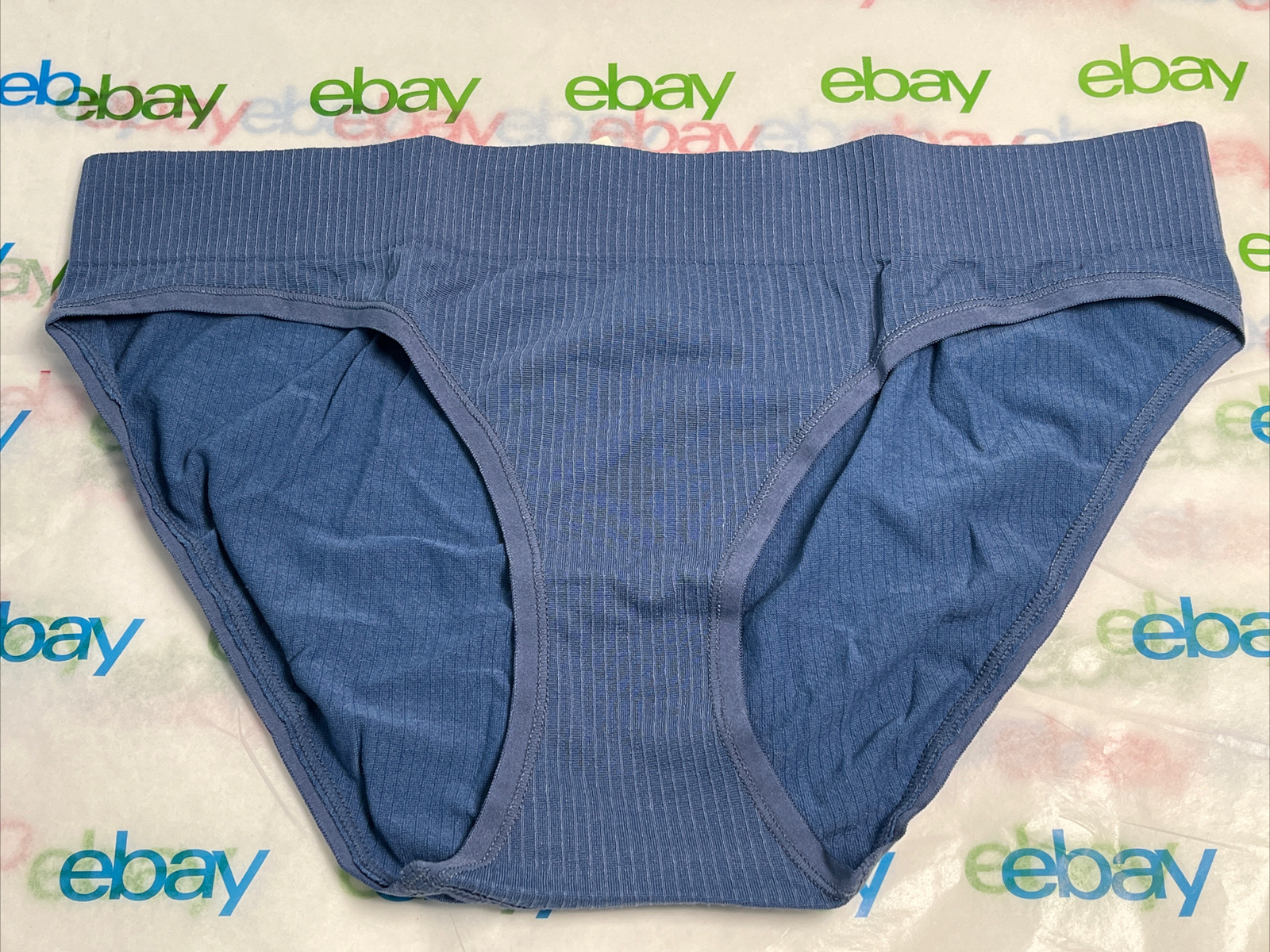 Aerie Womens Rib Bikini Panties Size Large Blue