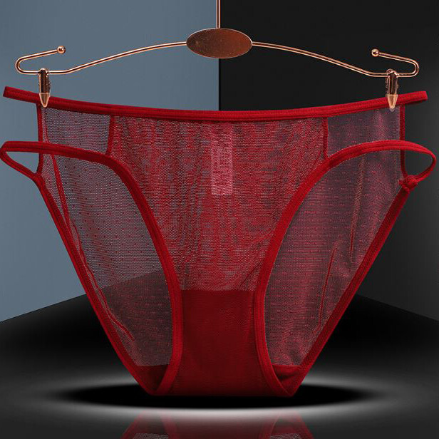 1Pcs Lot Sexy Womens See Through Sheer Panties Underwear Lingeries Cheeky Briefs