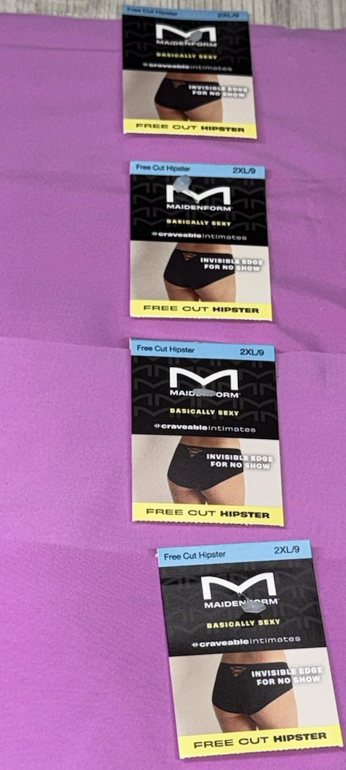 Maidenform 4-Pack Laser Cut Hipster Underwear Panty Nylon Basically Sexy 2XL 9