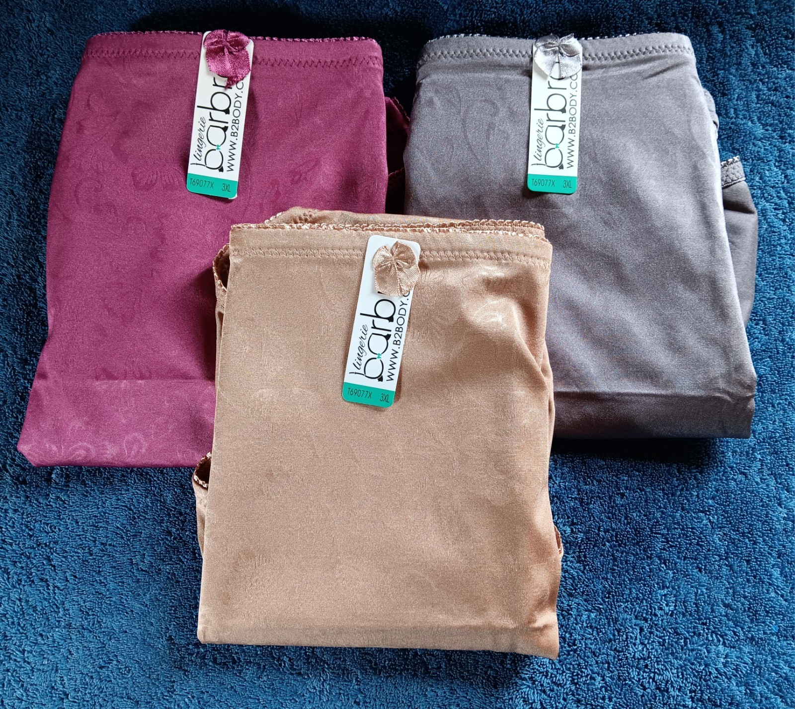 Barbra B2Body Light Control Full Coverage Lot 3 3XL Underwear Briefs Panties NWT