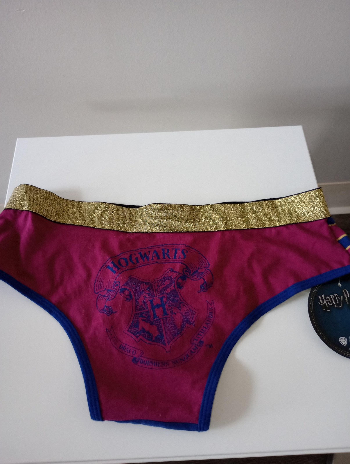 Harry Potter Gryffindor Womens Medium panty Briefly Stated Hogwarts Top Novel