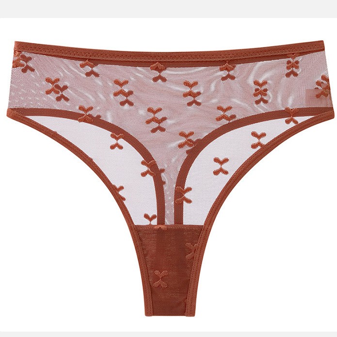 4 Pack Lot Sexy Womens Sheer See Through Panties Thongs Underwear Lingerie Brief