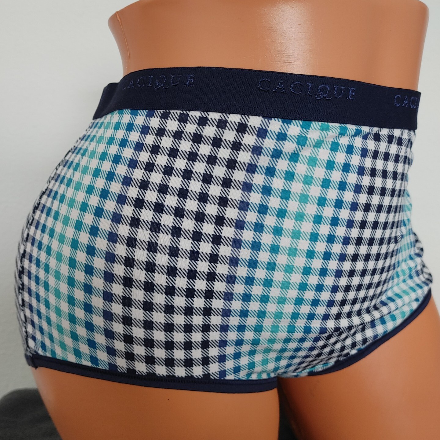 LANE BRYANT CACIQUE COTTON FULL BRIEF PANTIES 18/20 PLUS BLUE OMBRE PLAID CHECK