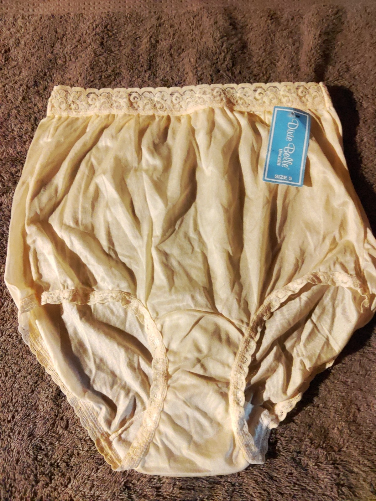 Dixie Belle Nylon Brief Panty Lace Waist Semi Sheer White #1252 Size 5 New