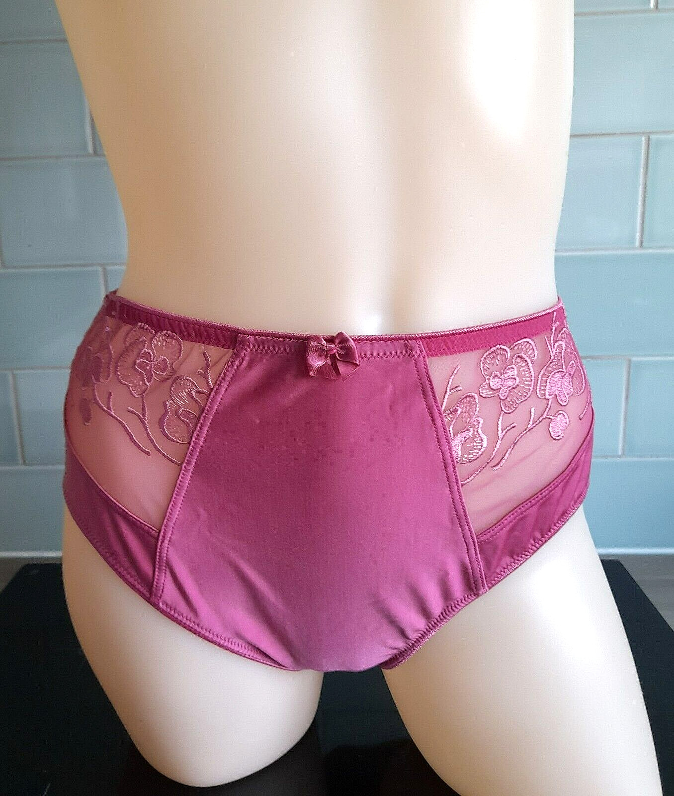 Pasturnette Pink SATISFACTION High Brief Embroidered Mesh Front Panels