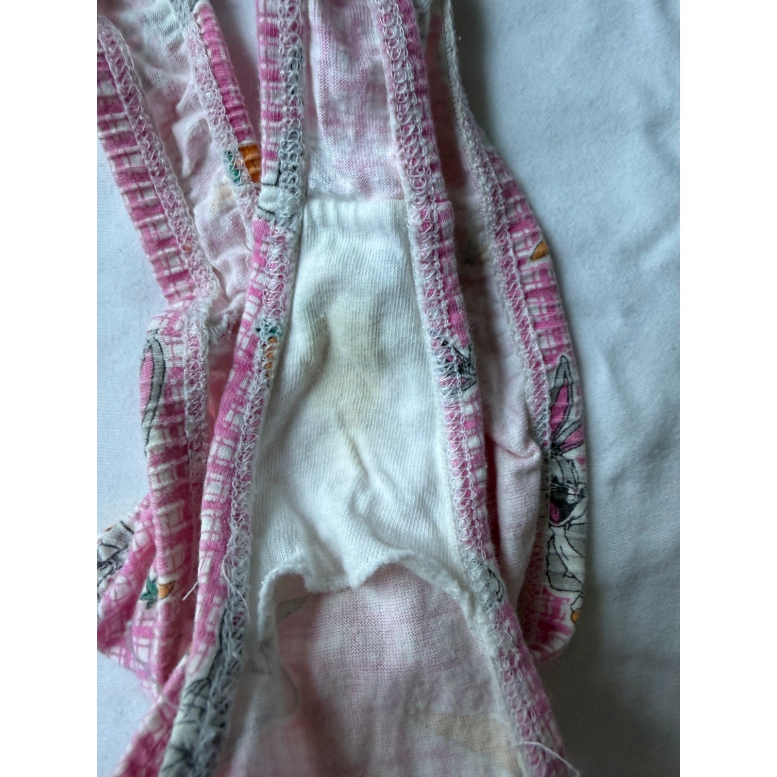 NWOT Looney Tunes Bugs Bunny Pink Print Thong Panty – Size M
