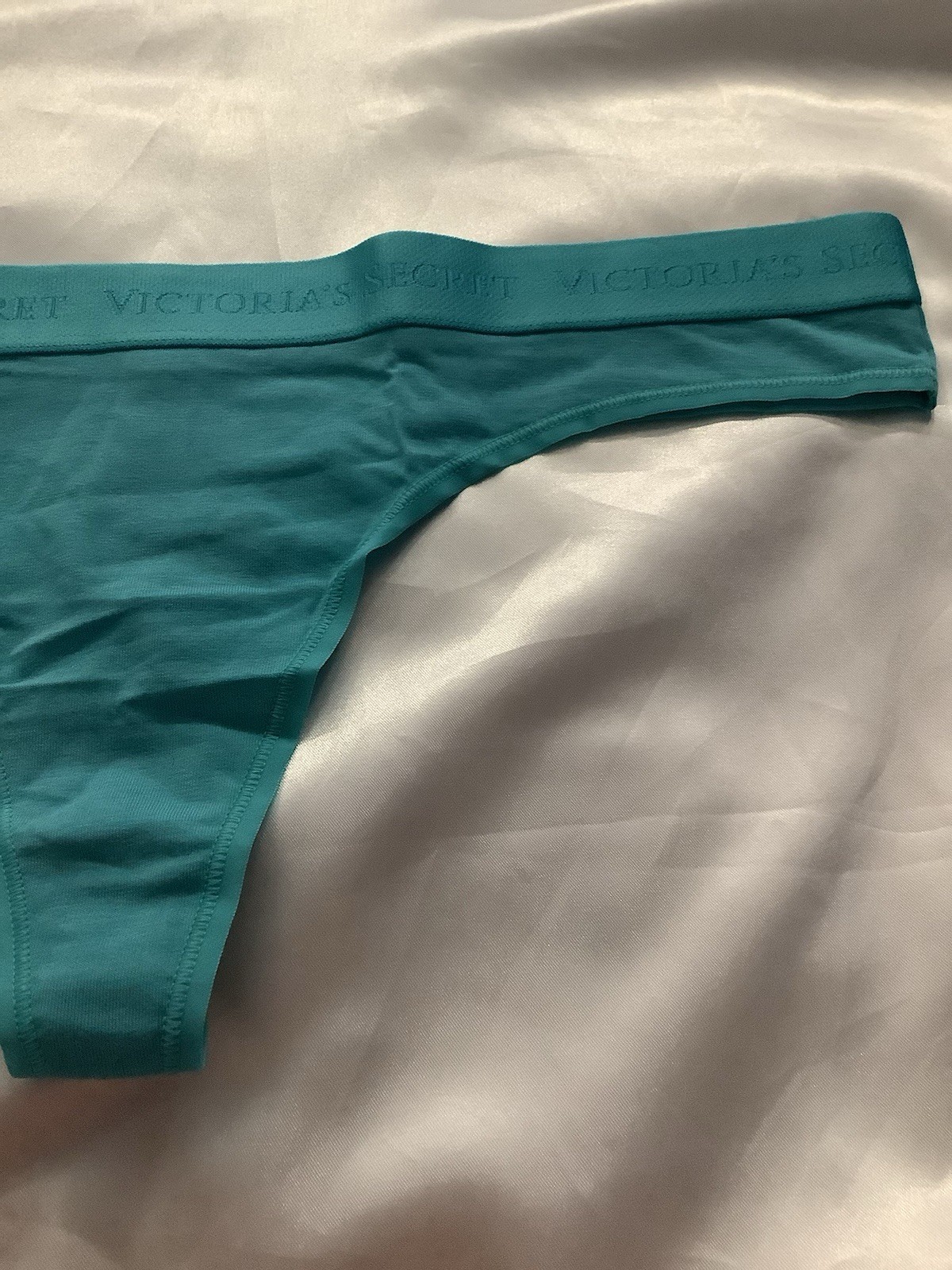 Victoria’s Secret PINK Women’s Thong Panties Band Logo Blue Turquoise 1pk Large