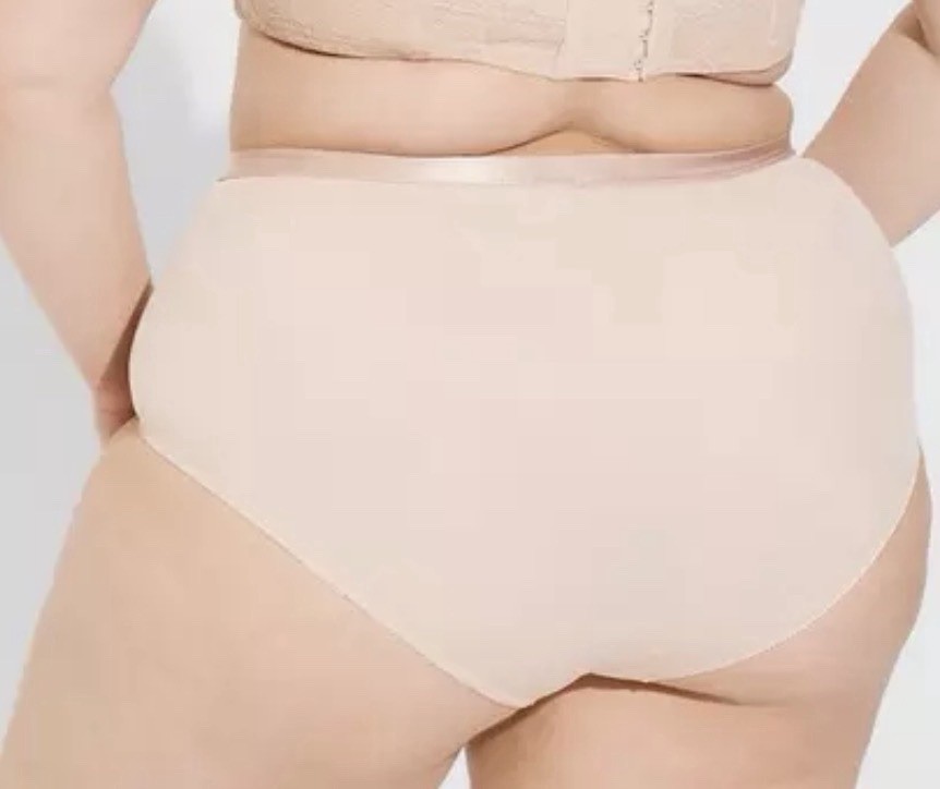 NWT Torrid Curve Nude Rose Dust 360 High Rise Smoothing Brief Panty Panties 5 5X