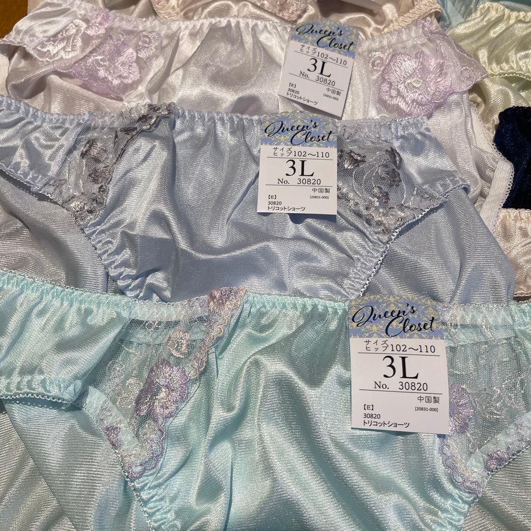 Japanese Glossy Nylon Panties Floral Lace Brief Set of 10 US size L-XL, JP 3L