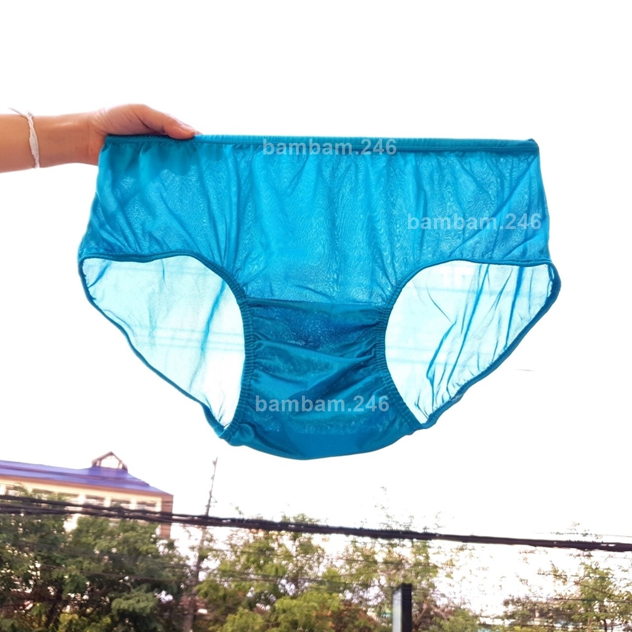x6 Women Men Lingerie Underwear Silky Nylon High Waist Brief Panties Size XL Bre