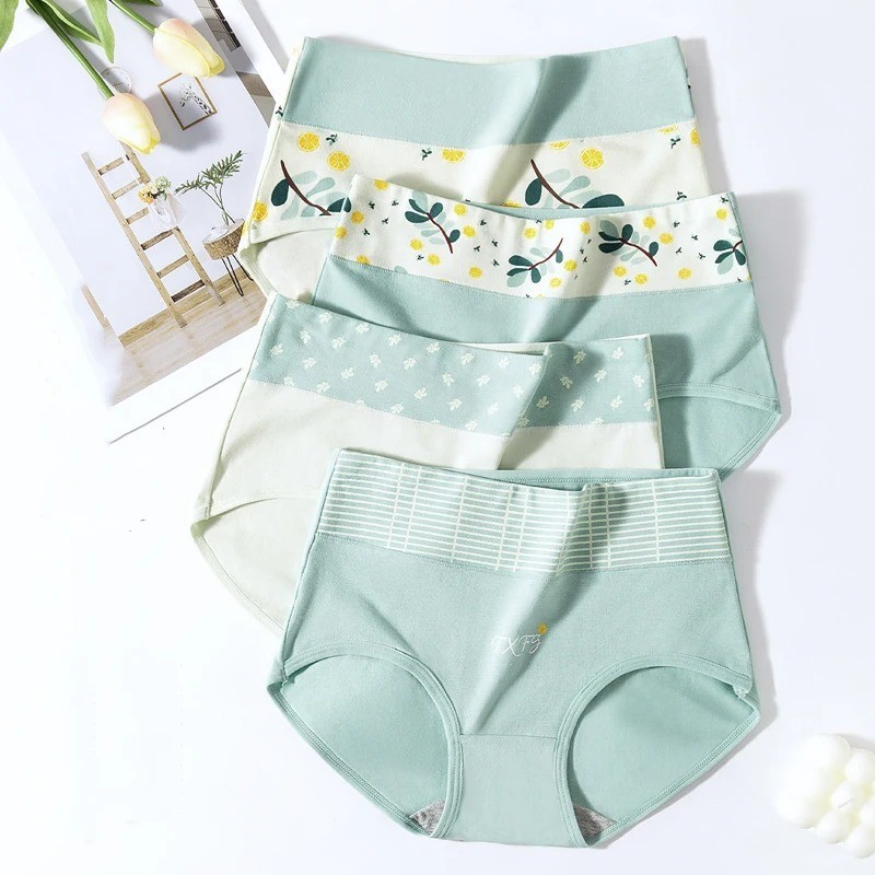 Women 5Pcs Fluxe Incontinence Underwear Leak-Proof Panties Cotton Brief Washable