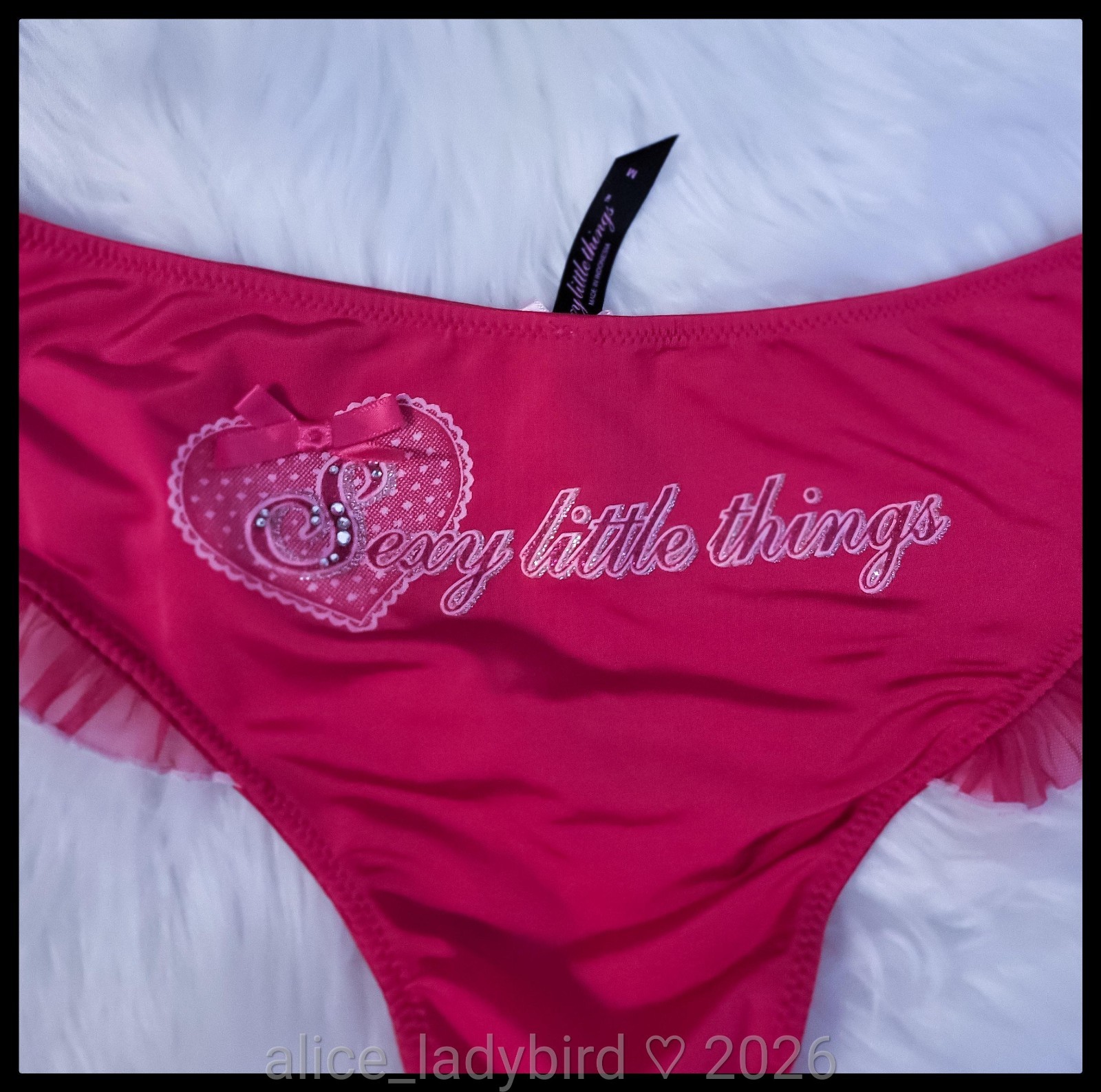Vintage VICTORIA’S SECRET Sexy Little Things PANTIES Logo Text BRIEF Ruffle ~S/M