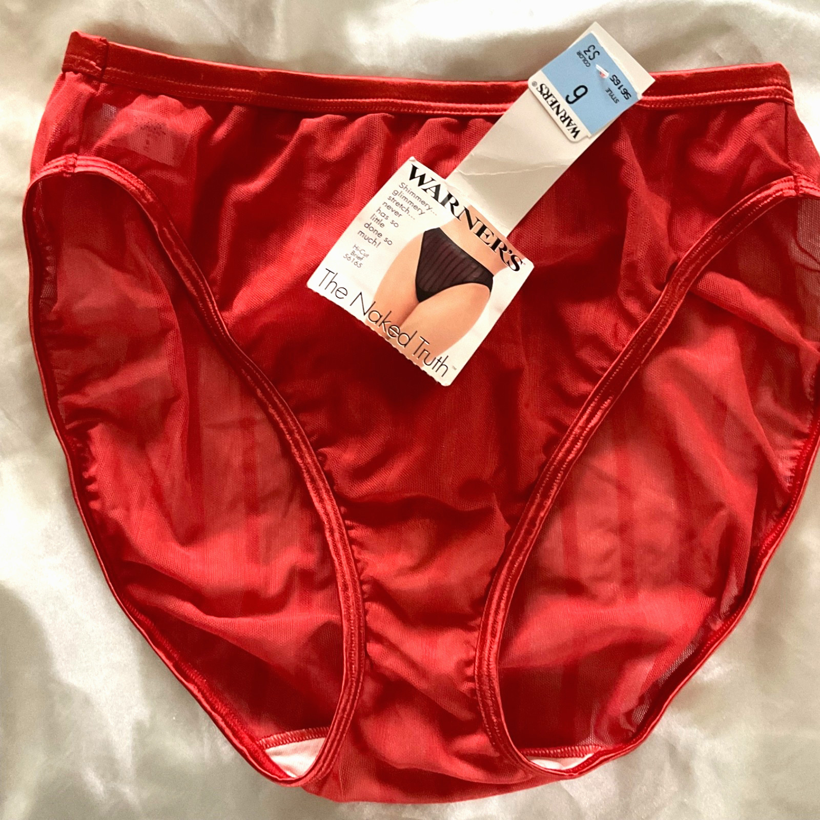 VINTAGE WARNERS THE NAKED TRUTH RED SHIMMERY SHEER BRIEF PANTIES Size 9 NWT