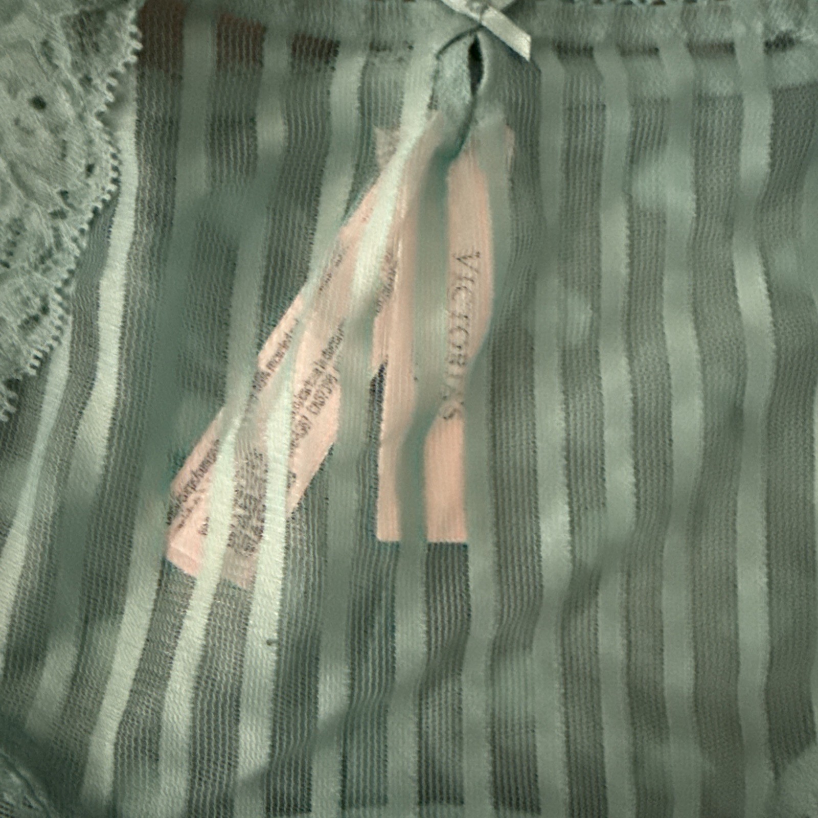 Victoria’s Secret Xl Teal Blue Sheer Mesh Cheeky Panties
