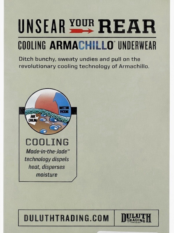 Duluth Women’s Armachillo Cooling Underwear Hi-Cut Brief/Black Size 2X (20w-22w)