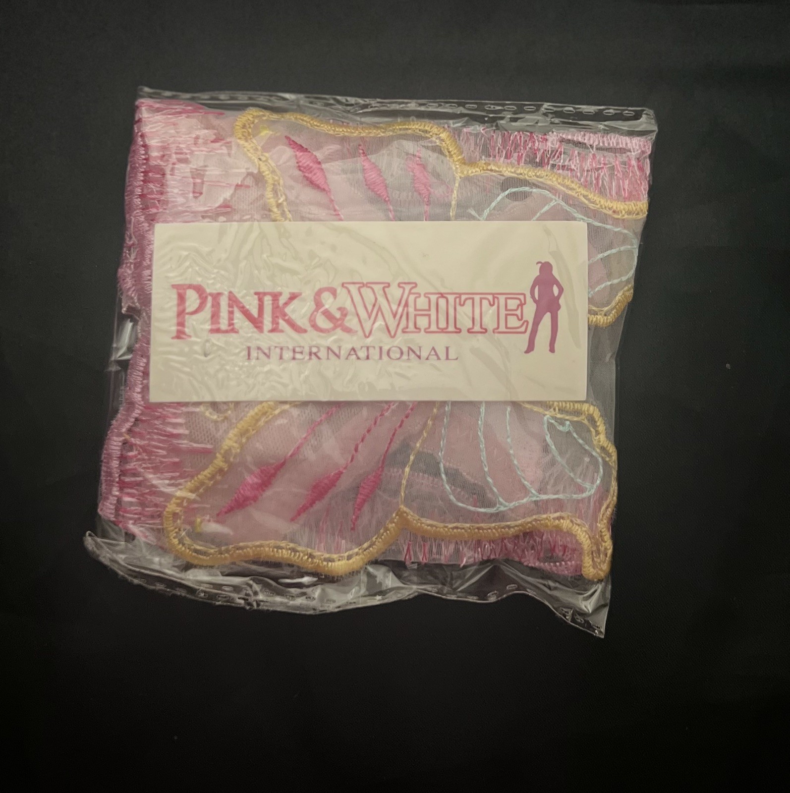 Womens Embroidery Thong G-String Sexy Butterfly Underwear Lingerie Lace Panties