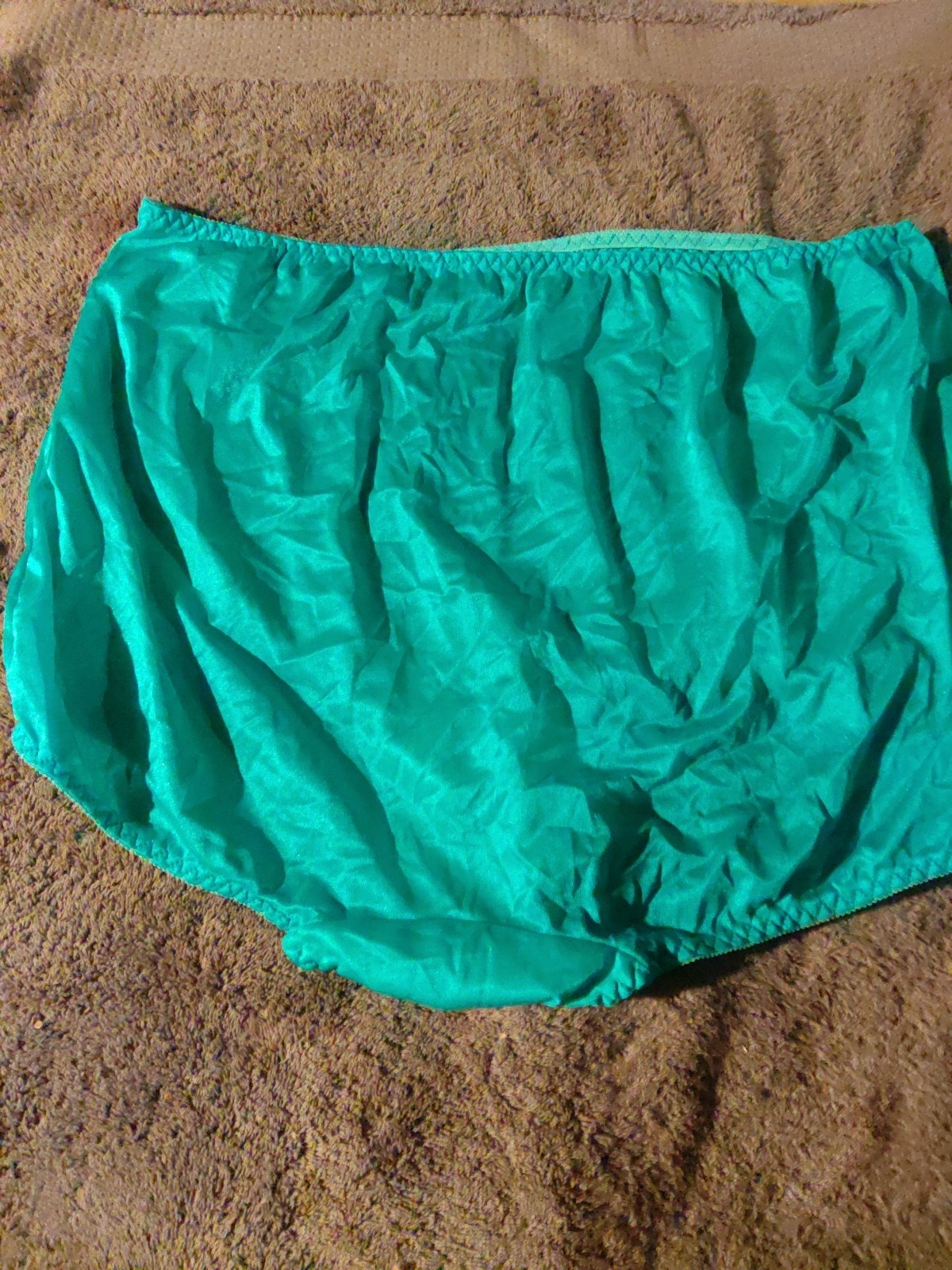 Ventura Nylon Brief Panties Decorative Applique Sz 12