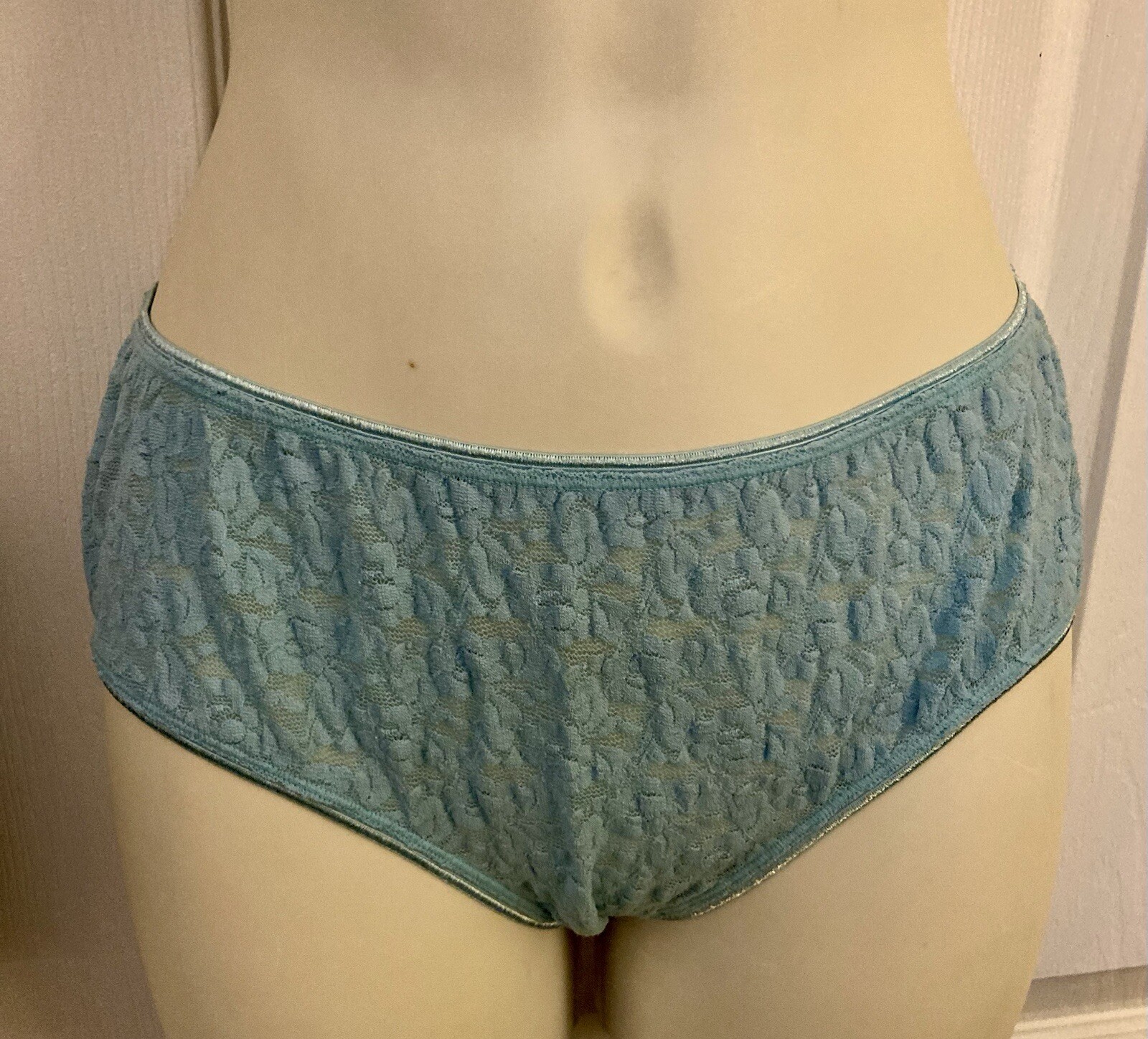 2 Hipster Panties sz L Alfani Blue sheer lace Morgan Taylor Nude solid