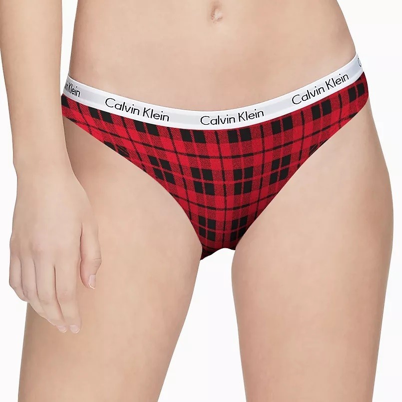 New 2 Pairs Calvin Klein CK Carousel Bikini Panties Plaid & Logo Size XL NWT