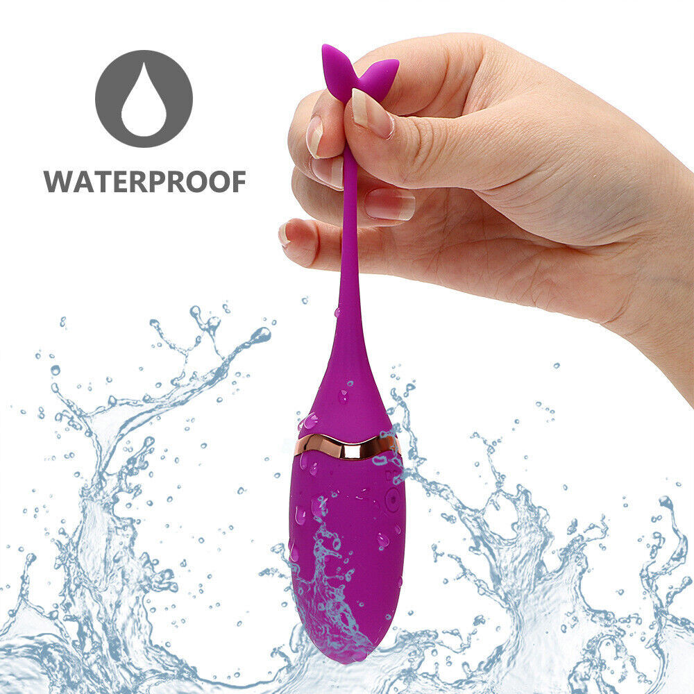 Remote Control Wearable Love Vibrating Panties Women Bikini Wireless Waterproof