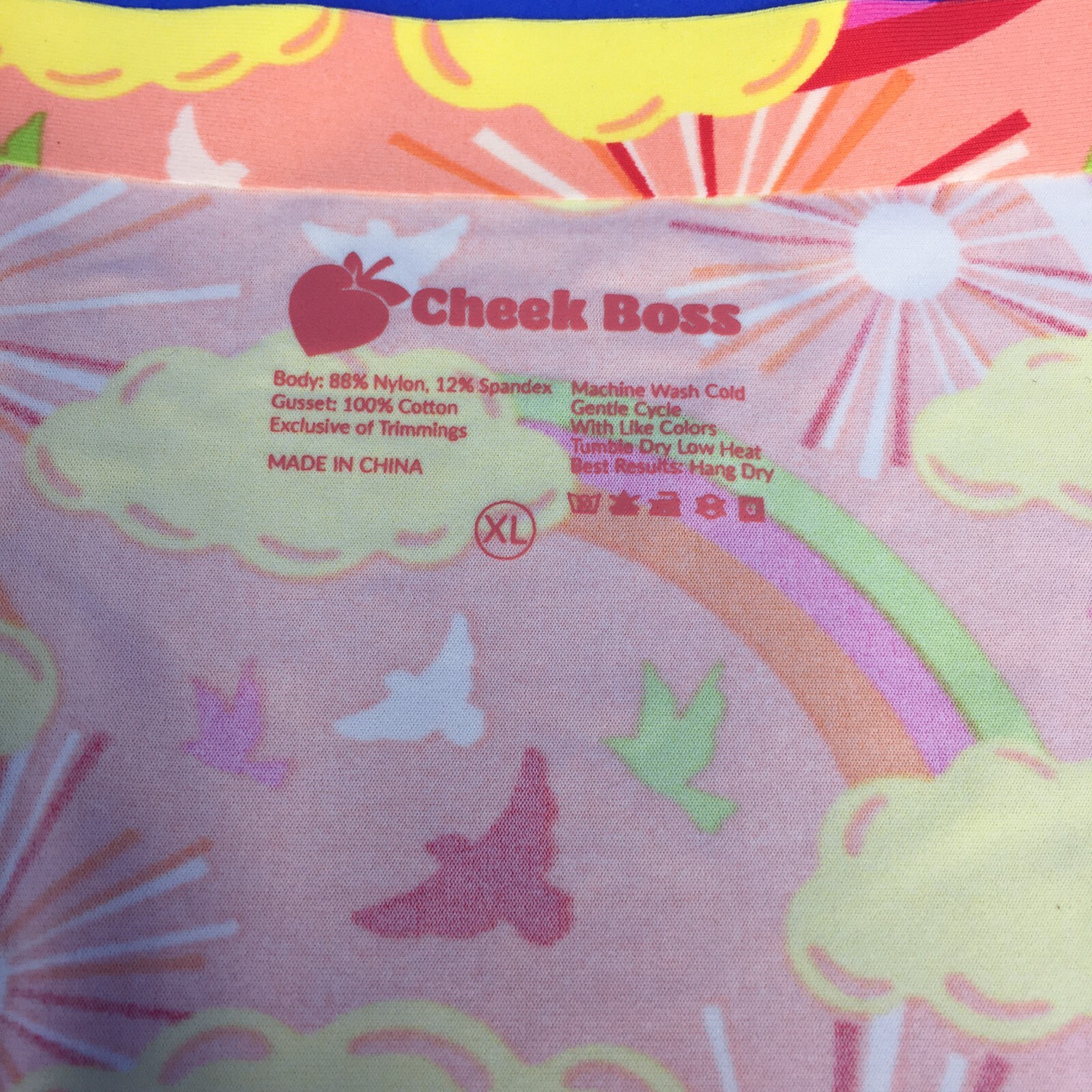 Cheek Boss Panties XL Pink Rainbow Sunshine Cheeky Underwear Women