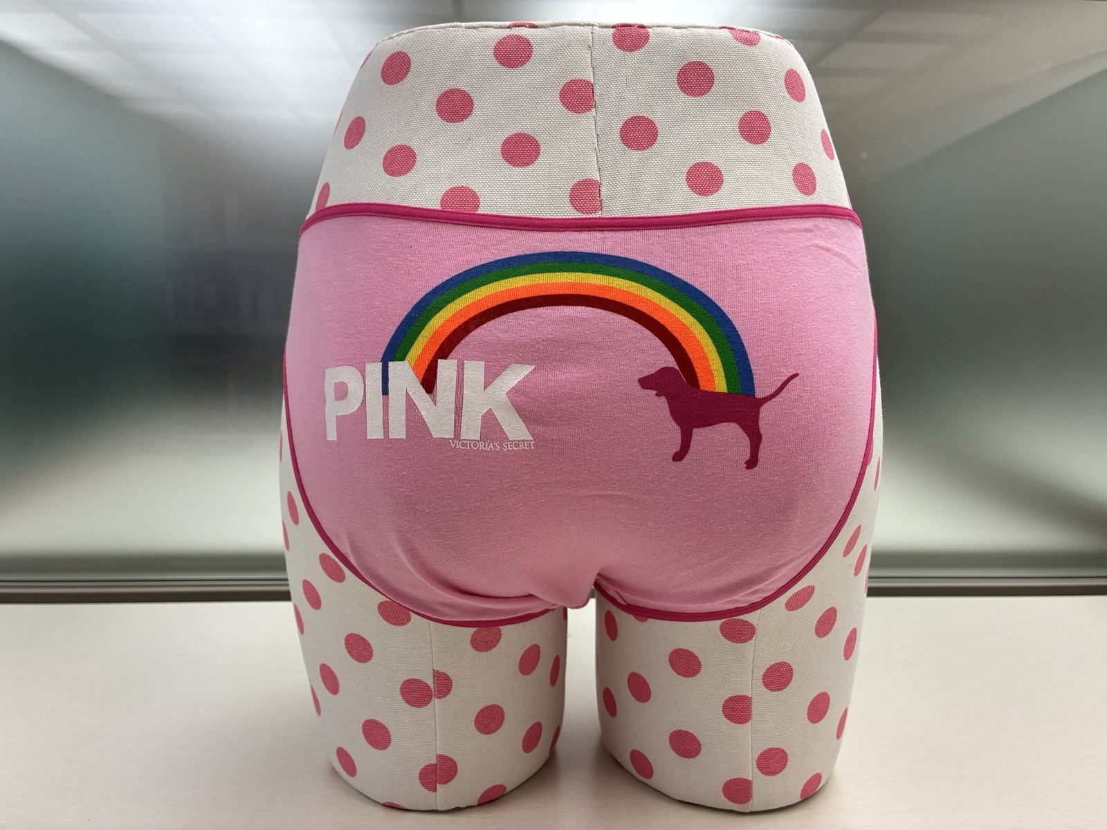 Victoria’s Secret 2006 Vintage PINK rainbow dog logo PRIDE Panty Small S NWT