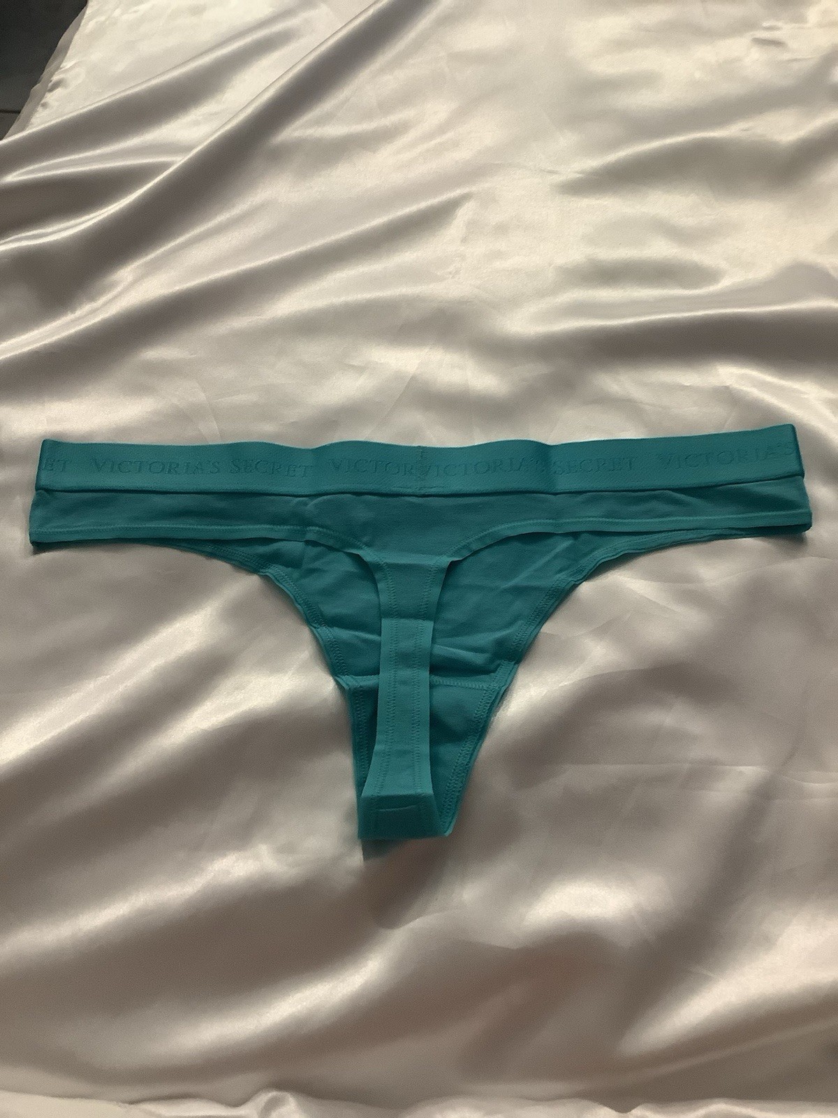 Victoria’s Secret PINK Women’s Thong Panties Band Logo Blue Turquoise 1pk Large