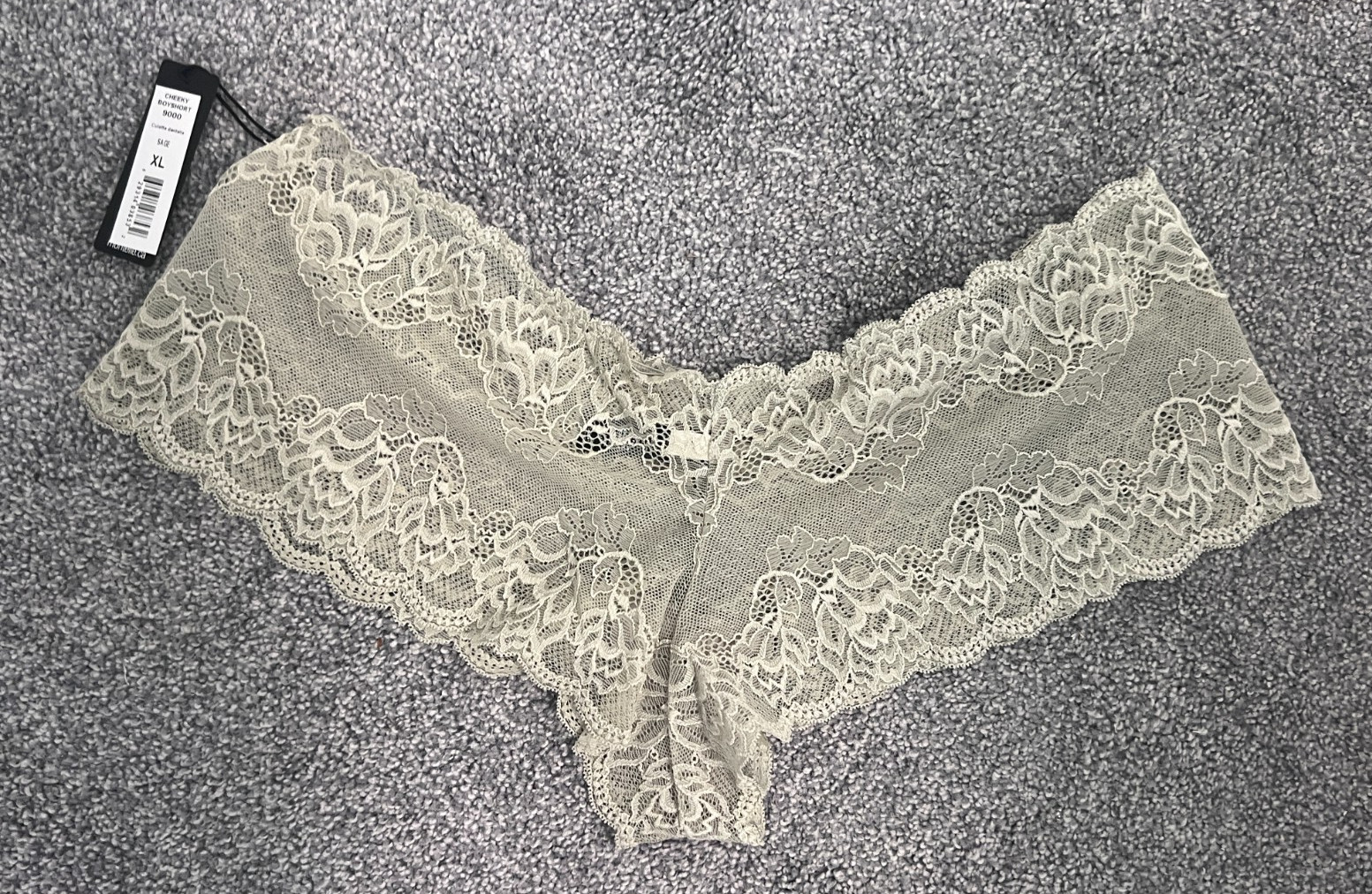 NWT ~ Montelle Intimates ~ Cheeky Boyshort ~ Lace Pantie ~ Sage ~ Size XL