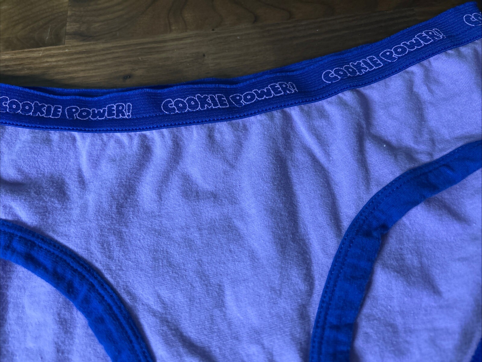 Vtg Sesame Street Cookie Monster Hipster Panties Cookie Power Sz 6 Kidcore Thick