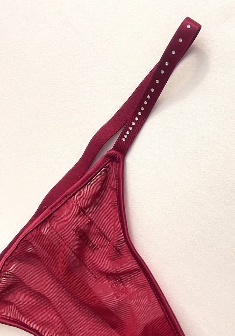 VICTORIA’S SECRET PINK RED MESH SILVER RHINESTONE STRAP V STRING PANTIES SMALL
