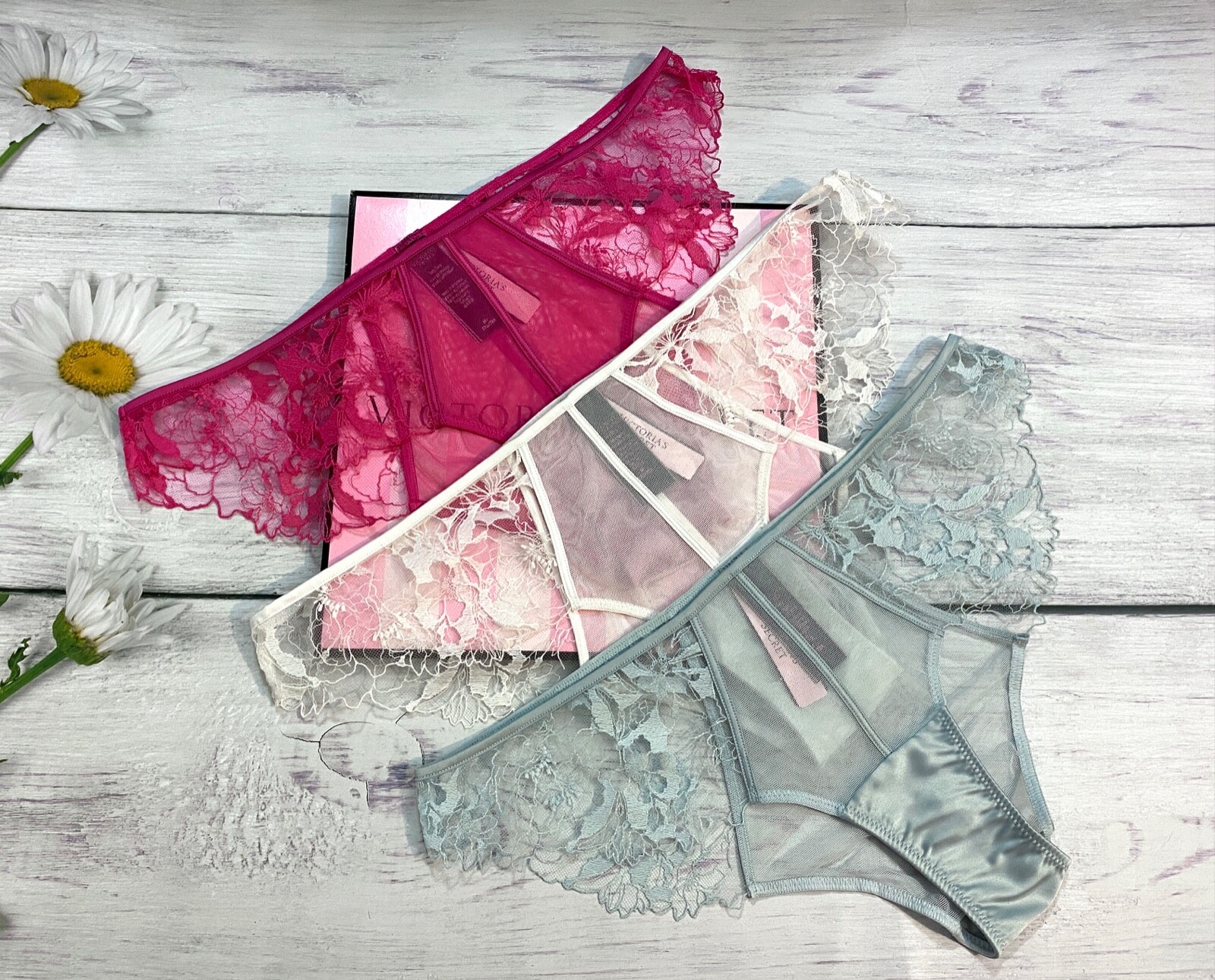 Victoria’s Secret VS Luxe Lingerie Satin Embroidered Mesh & Lace Cheekini