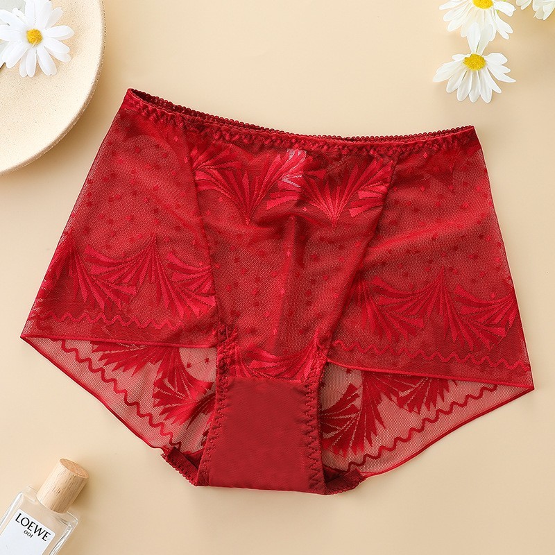 3X Women High Waist Knickers Briefs Lady Lace Seamless Underwear Panties L-2XL