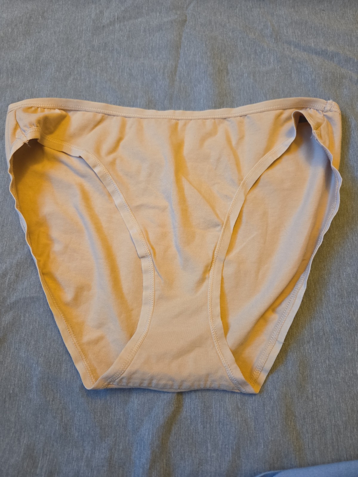 Nwot PACT ORGANIC Cotton large Bikini Panties Beige