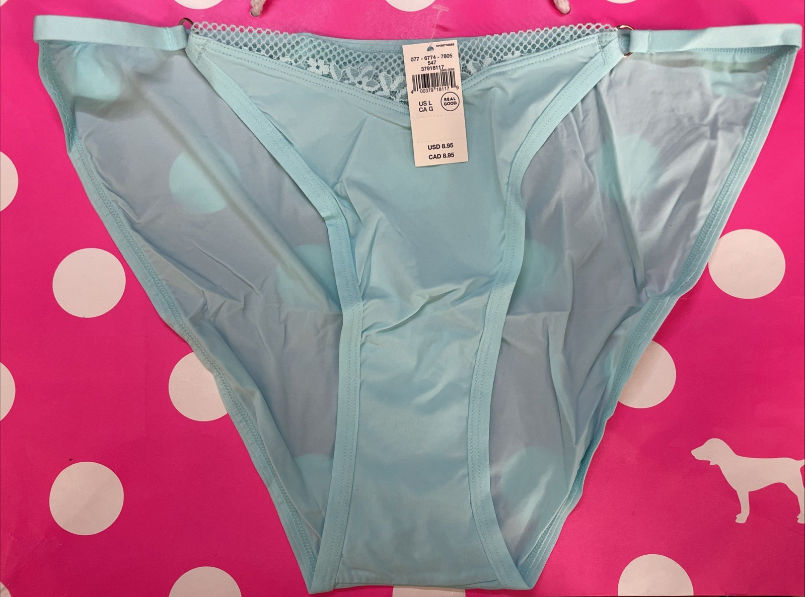AERIE AMERICAN EAGLE Nylon SMOOTH Super Slick SPANDEX STRING BIKINI PANTIES L