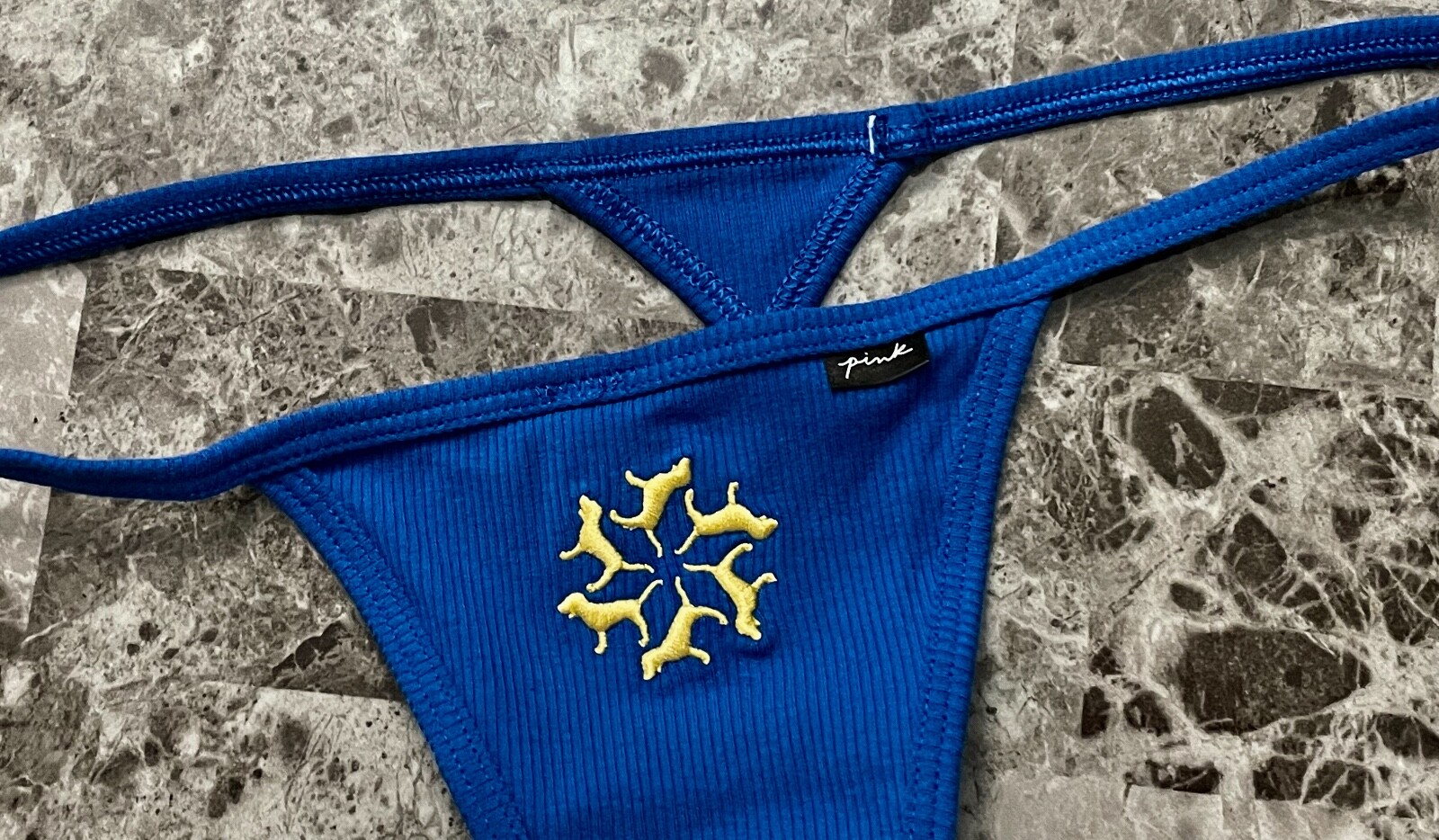 NWT VICTORIA’S SECRET PINK BLUE GOLD DOG RIB RIBBED KNIT V STRING THONG PANTIES