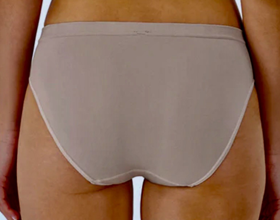 MAIDENFORM M Basically Sexy Microfiber Seamless Bikini Panty Womens M L XL 2XL